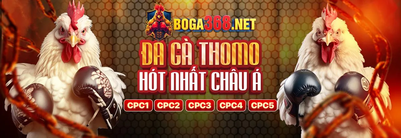 Sân đấu đá gà trực tiếp AE88